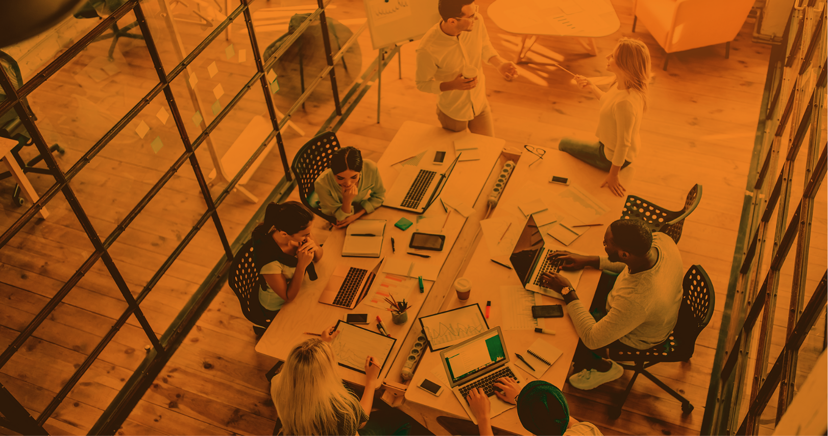 Senior projectmanager web development